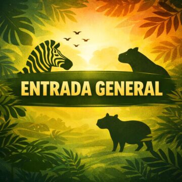 entrada_general 🌿 Entrada General – Experiencia Completa Santuaai